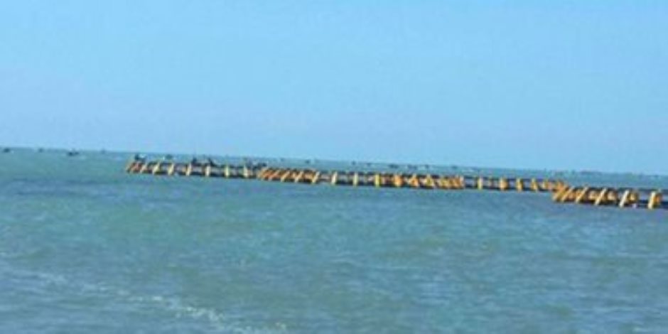 "شينخوا" الصينية: مصر تنفذ خطة طموحة لتطوير البحيرات وتنمية الثروة السمكية