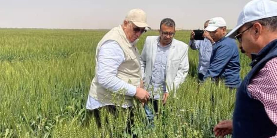 وزير الزراعة من أسوان: قمح مصر بخير  