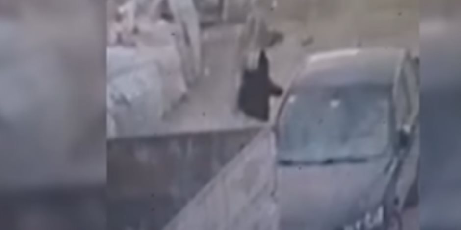 الداخلية عن فيديو إشعال سيدة النار في سيارة: خلافات أسرية وضبطنا المتهمة في حينه