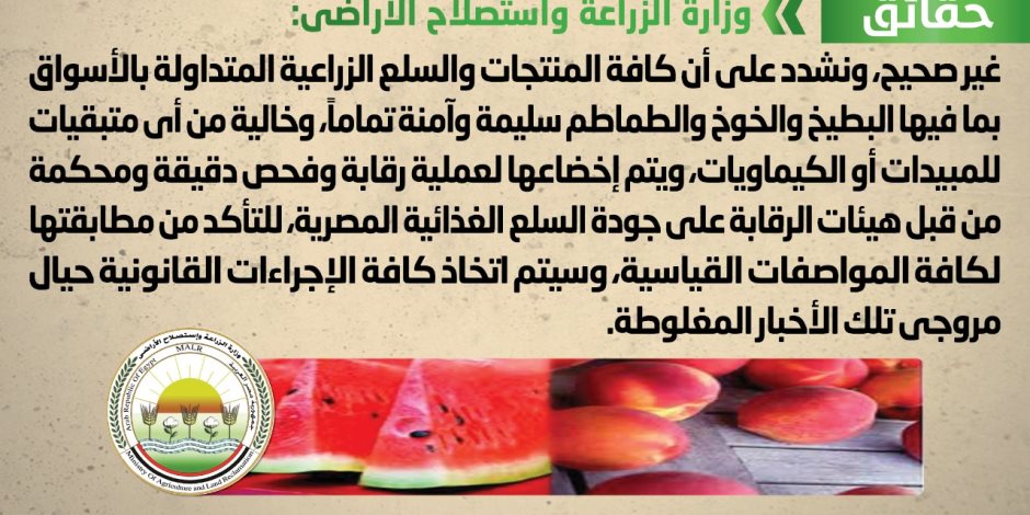 الحكومة تنفي شائعة انتشار بطيخ وخوخ وطماطم مسممة في الأسواق