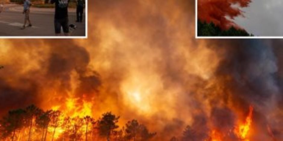 شاهد كيف أصبحت إسبانيا الأكثر تضررا من حرائق الغابات فى أوروبا بسبب موجة الحر