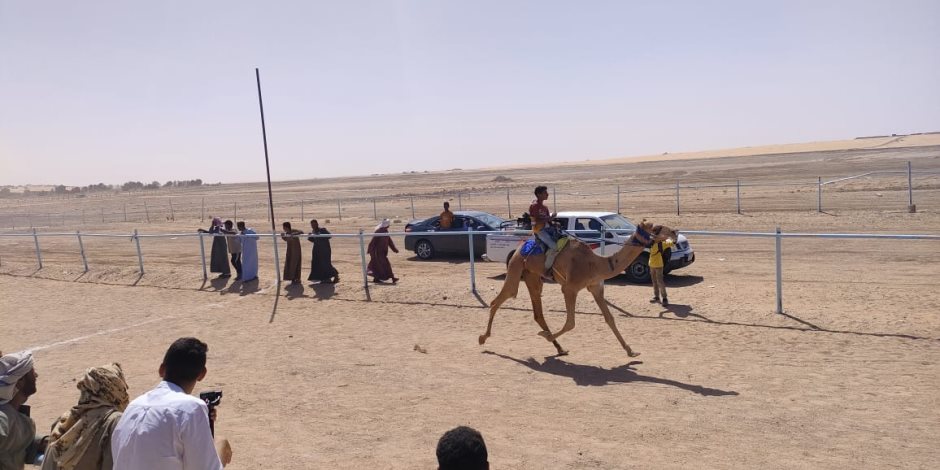 بمشاركة الأردن والسعودية.. ختام ناجح لمهرجان سباق الهجن الدولي الأول على مضمار "بغداد" بالوادي الجديد (صور)