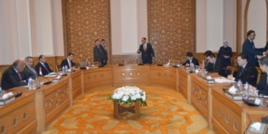 شكري: الرئيس السيسي بحث مع وزير خارجية الصين تعزيز علاقات التعاون الثنائي
