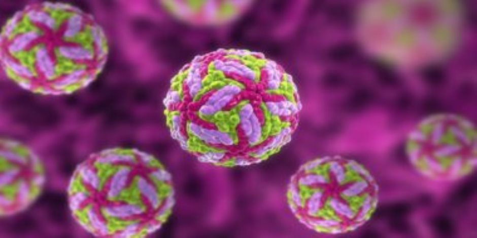 الصحة: تفاصيل البرتوكول العلاجى لفيروس ماربورج القاتل