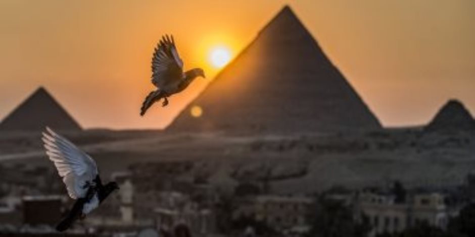موقع ذا بانكر: مصر وجهة استثمار رئيسية في أفريقيا والشرق الأوسط