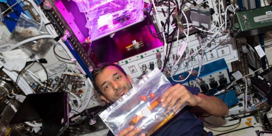 رائد الفضاء الإماراتى سلطان النيادى يعرض تجربة زراعة الطماطم فى الفضاء.. صور
