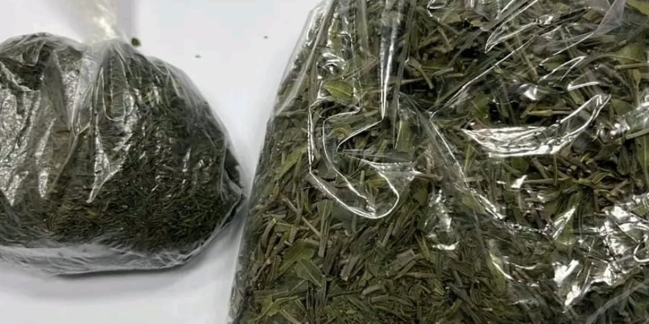 جمارك مطار الغردقه الدولى تضبط محاولة تهريب كمية من نبات القات المخدر