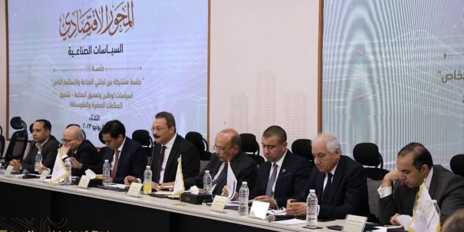 مقرر لجنة الاستثمارات العامة بالحوار الوطني يطالب بتعميم مبادرة تعميق الصناعة لدعم المنتجات المصرية 