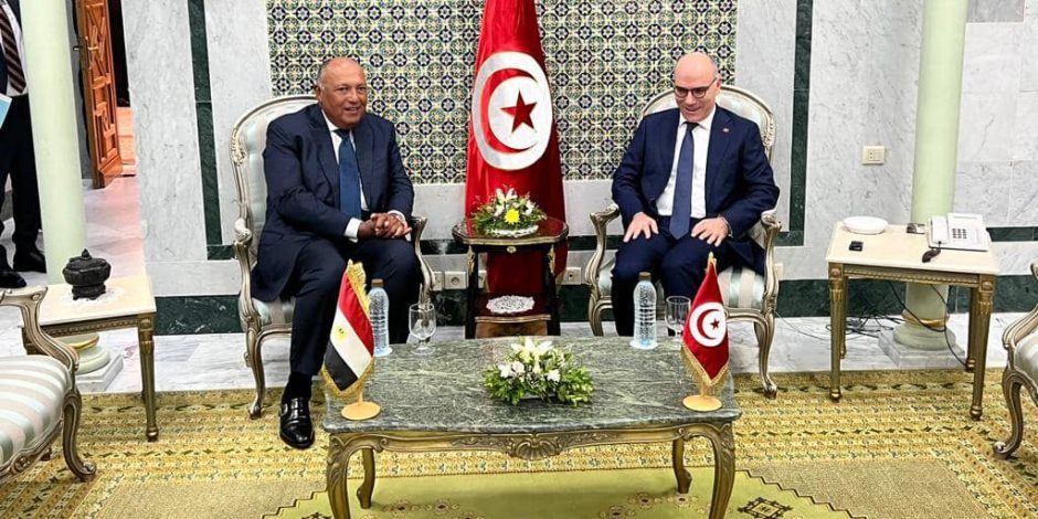 شكرى يؤكد دعم مصر لجهود قيس سعيد الرامية لبناء مستقبل أفضل للشعب التونسى