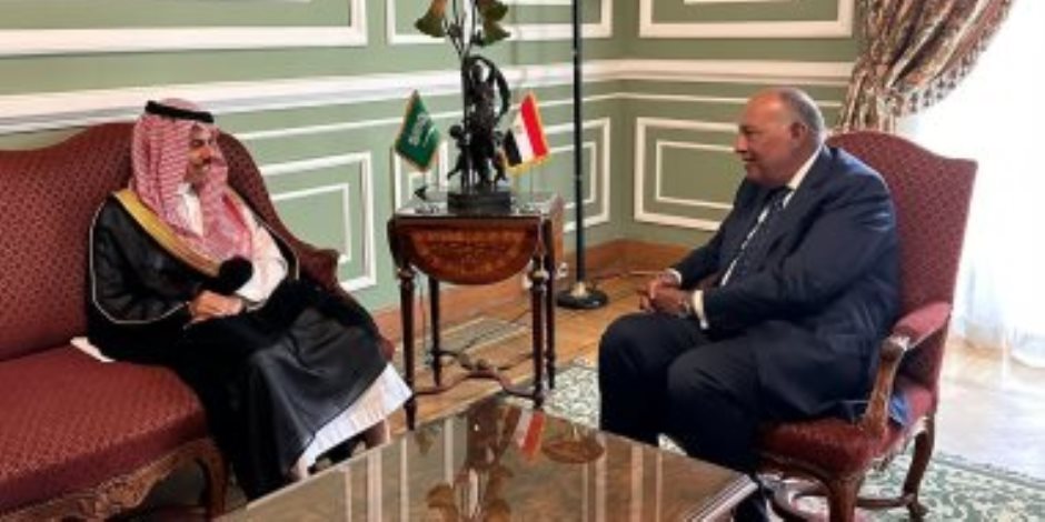 وزيرا خارجية مصر والسعودية يؤكدان ضرورة الدفع بأطر العمل العربى المشترك
