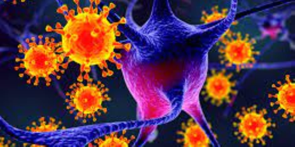 فيروس نيباه.. طرق الوقاية والأعراض الحمى والصداع والدوخة والألم العضلي