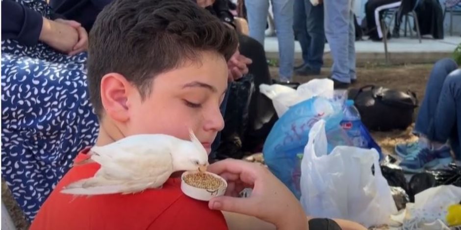 القاهرة الإخبارية تعرض تقريرا لطفل فلسطيني يطعم عصفوره رغم وجوده بملجأ هربا من قصف الاحتلال (فيديو)