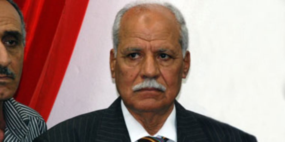 الحزب العربي الناصري: مصر تدعم القضية الفلسطينية منذ 1948
