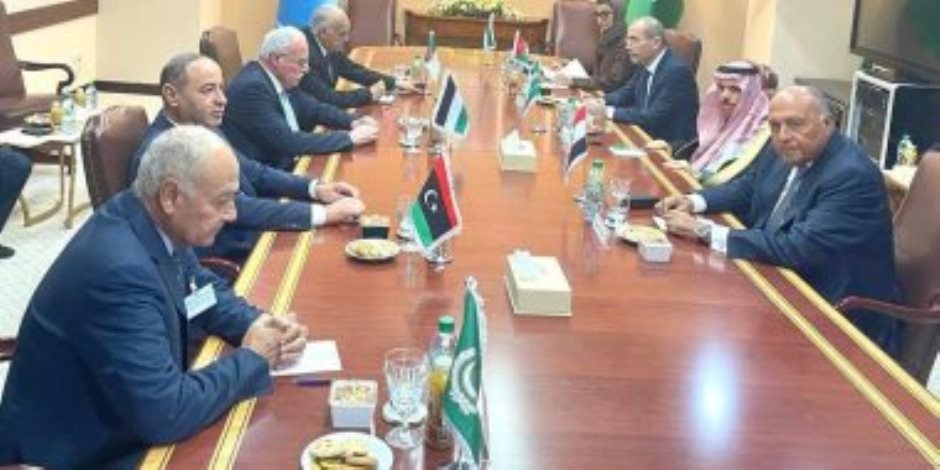 شكري يشارك في اجتماع تنسيقي لوزراء الخارجية العرب بنيويورك حول قضية فلسطين