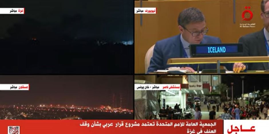 مندوب مصر بالأمم المتحدة: الجمعية العامة تساند الحق الفلسطيني وترفض التهجير القسري مندوب مصر بالأمم المتحدة: الجمعية العامة تساند الحق الفلسطيني وترفض التهجير القسري