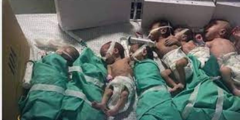  مصادر مطلعة لـ"القاهرة الإخبارية": جهود مصرية مكثفة لنقل الأطفال حديثى الولادة من غزة إلى مصر 