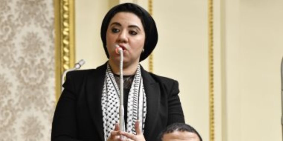 نائبة التنسيقية أميرة صابر: موقف مصر إزاء القضية الفلسطينية "تاريخى"