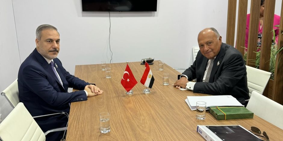 وزير الخارجية يلتقي مع نظيره التركي على هامش اجتماعات مجموعة العشرين بريو دي جانيرو 