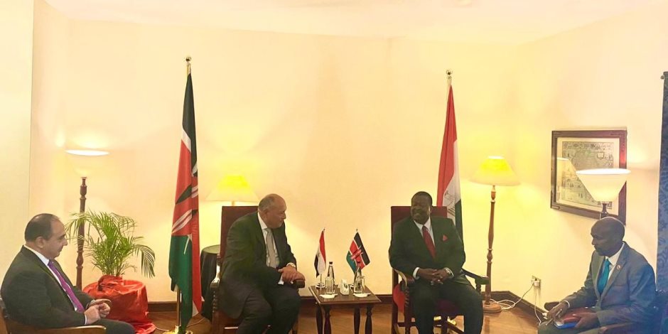 ‏‎سامح شكري يلتقي مع رئيس مجلس الوزراء ووزير الشئون الخارجية والمغتربين في جمهورية كينيا