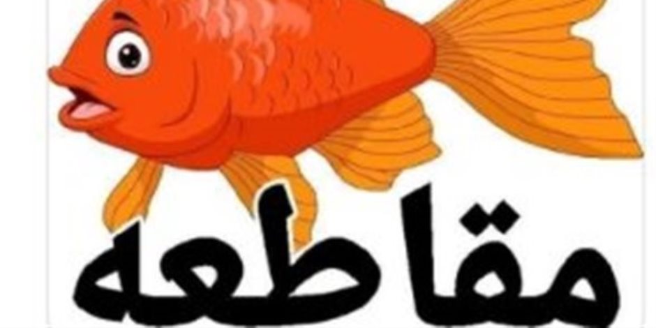 الدولة مش هتشتغل لوحدها.. بورسعيد تتحدى جشع التجار بحملة لمقاطعة الأسماك