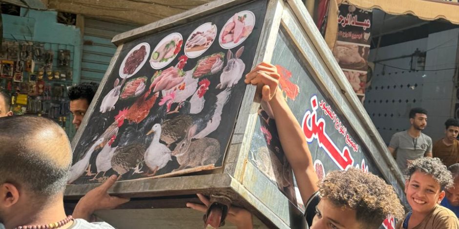 محافظة الجيزة تشن حملة موسعة للقضاء على الإشغالات والتعديات بحرم الطريق (صور)
