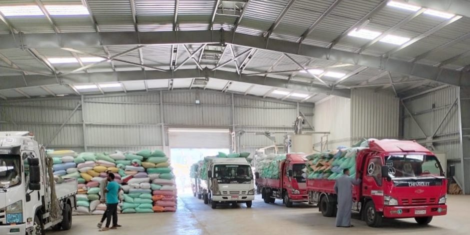 البنك الزراعي يواصل جهوده في استلام محصول القمح من الموردين والمزارعين في ١٩٠ موقع تخزين منتشرة في كافة أنحاء الجمهورية (فيديو)