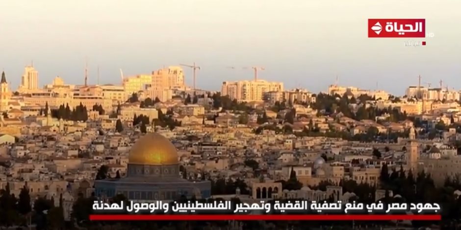 «الحياة اليوم» يعرض تقريرا عن جهود مصر في منع تصفية القضية الفلسطينية (فيديو)