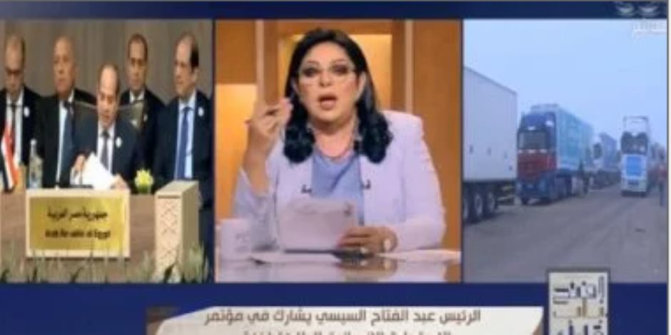 أميرة بهى الدين: الدولة المصرية عملت فى جميع المسارات لدعم القضية الفلسطينية