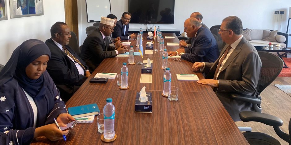 وزير الخارجية ونظيره الصومالى يبحثان الوضع الإقليمى فى منطقة القرن الإفريقى