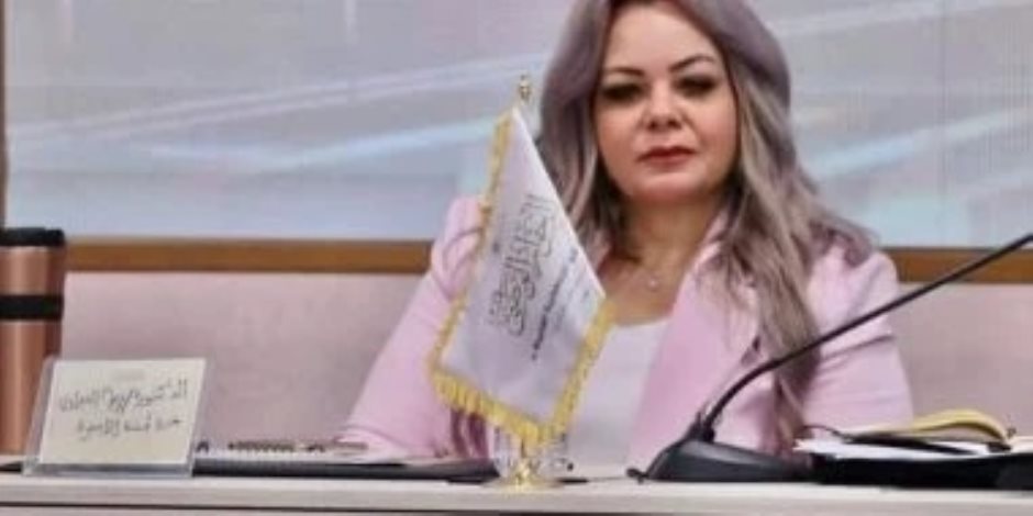 ريهام الشبراوي: توصيات الحوار الوطني في قضايا الأسرة للحكومة الجديدة ضرورة لسد الثغرات المجتمعية