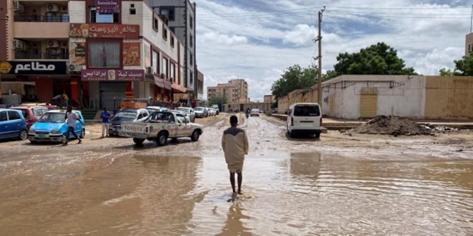 معارك ومأساة إنسانية ممتدة في السودان.. تقارير تكشف كارثة بيئية في غرب البلاد والحرب تهدد بإزالة الغابات في دارفور