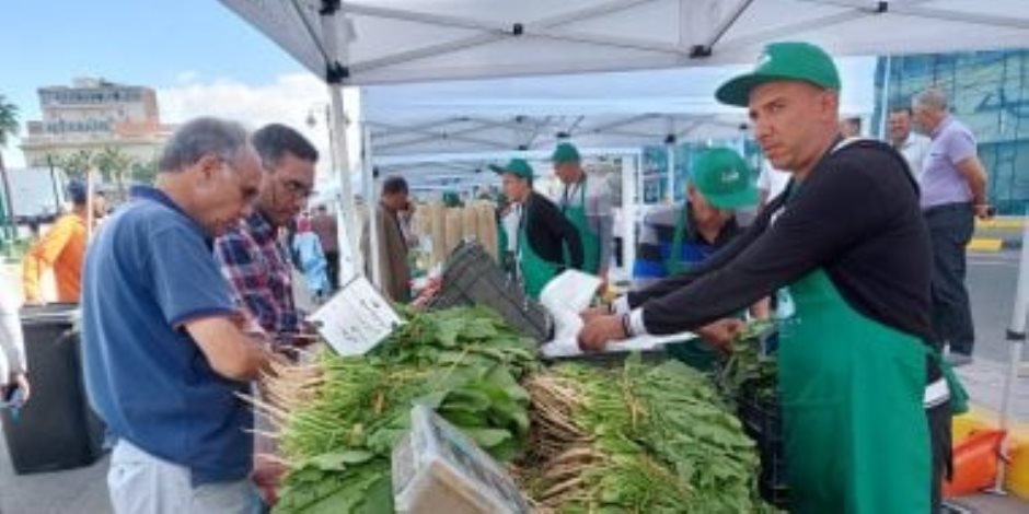 التوسع في أسواق اليوم الواحد.. توفير منتجات غذائية من المزارع مباشرة إلى المواطن