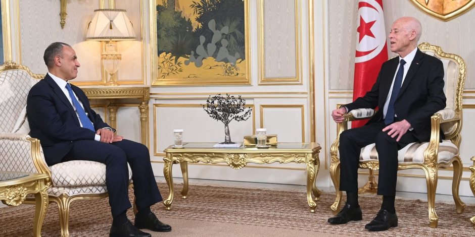 وزير الخارجية يسلم رسالة خطية من الرئيس السيسي لنظيره التونسي وزير الخارجية يسلم رسالة خطية من الرئيس السيسي لنظيره التونسي