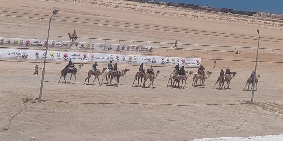 بمشاركة المئات من الجمال.. العريش تشهد انطلاق مهرجان سباق الهجن ضمن احتفالات شمال سيناء بذكري التحرير بمشاركة المئات من الجمال.. العريش تشهد انطلاق مهرجان سباق الهجن ضمن احتفالات شمال سيناء بذكري التحرير