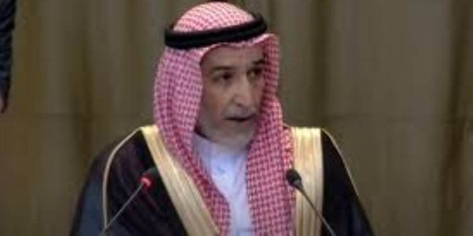 ممثل السعودية بمحكمة العدل: غزة تحولت لمقبرة والاحتلال ينتهك المواثيق ممثل السعودية بمحكمة العدل: غزة تحولت لمقبرة والاحتلال ينتهك المواثيق