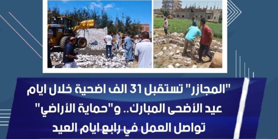 31 ألف أضحية استقبلتها مجازر «الزراعة» لعيد الأضحى العام الماضي.. «التموين»: 225 جنيهاً للخراف الحية و190 جنيهاً للأبقار للكيلوجرام قائم 31 ألف أضحية استقبلتها مجازر «الزراعة» لعيد الأضحى العام الماضي.. «التموين»: 225 جنيهاً للخراف الحية و190 جنيهاً للأبقار للكيلوجرام قائم