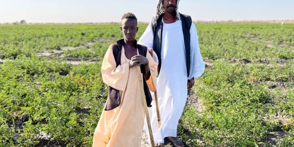 لايزالو متمسكون بأرضهم .. الفاو: 80% من القوة العاملة في السودان يعملون في الزراعة والرعي لايزالو متمسكون بأرضهم .. الفاو: 80% من القوة العاملة في السودان يعملون في الزراعة والرعي