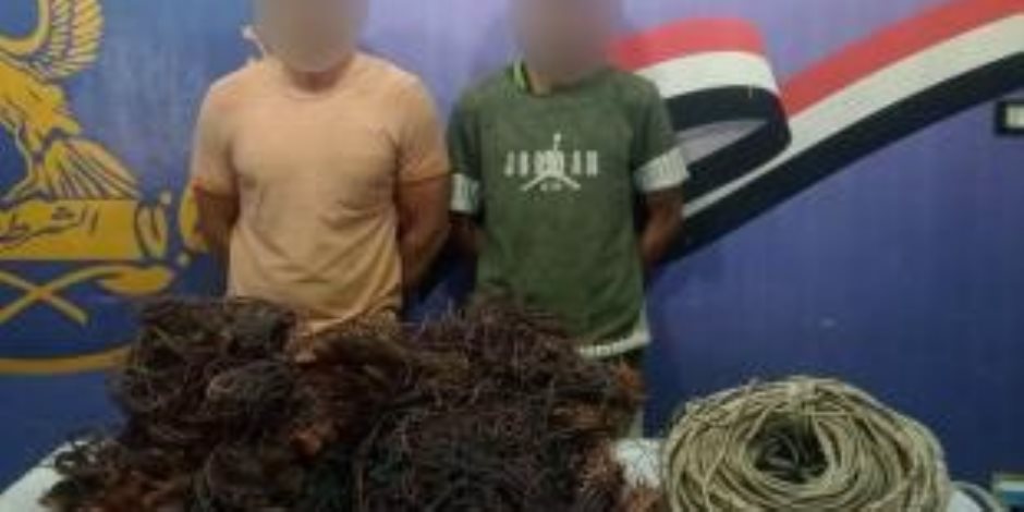 نتائج جهود الأجهزة الأمنية بالقاهرة لمكافحة جرائم السرقات نتائج جهود الأجهزة الأمنية بالقاهرة لمكافحة جرائم السرقات