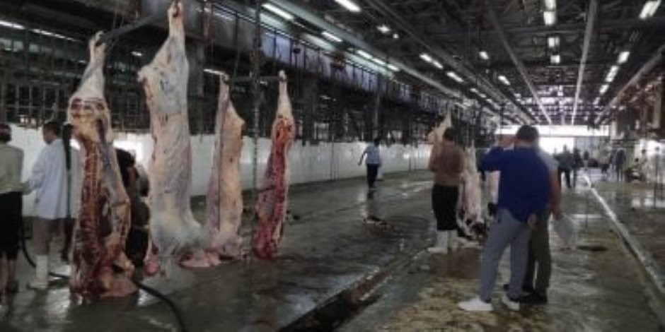 فتح مجازر محافظة الجيزة للمواطنين بالمجان أيام العيد.. اعرف العناوين