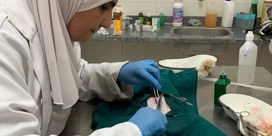 ولادة قيصرية ناجحة لقطة بعد تعثر الولادة الطبيعية بالغربية 