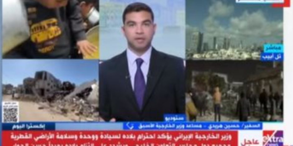 السفير حسين هريدى: مصر تبحث عن حلف تفاوضى فى البرنامج النووى الإيرانى السفير حسين هريدى: مصر تبحث عن حلف تفاوضى فى البرنامج النووى الإيرانى