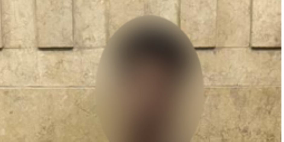 كشف ملابسات منشور تضمن قيام أحد الأشخاص بالتعدى على كلب ضال بالمنيا وضبط مرتكب الواقعة كشف ملابسات منشور تضمن قيام أحد الأشخاص بالتعدى على كلب ضال بالمنيا وضبط مرتكب الواقعة