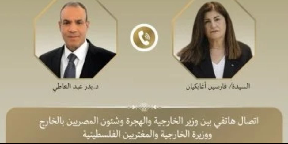 وزير الخارجية يستعرض جهود مصر لاستئناف وقف إطلاق النار فى قطاع غزة