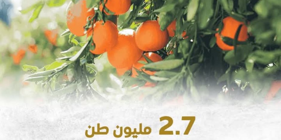 2.7 مليون طن صادرات مصر الزراعية بالربع الأول من عام 2025.. مصر تسرع الخطى نحو فتح السوق الأوزبكي لمنتجاتها 2.7 مليون طن صادرات مصر الزراعية بالربع الأول من عام 2025.. مصر تسرع الخطى نحو فتح السوق الأوزبكي لمنتجاتها