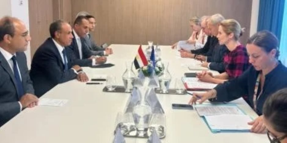 وزير الخارجية يستعرض جهود مصر للتوصل لوقف إطلاق نار في غزة وزير الخارجية يستعرض جهود مصر للتوصل لوقف إطلاق نار في غزة