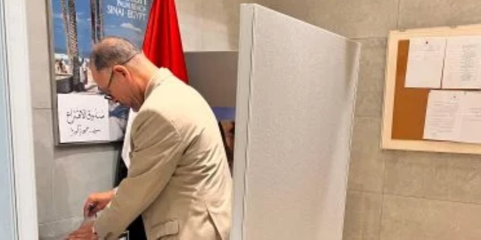 انتخابات مجلس الشيوخ.. المصريون في كوريا الجنوبية يدلون بأصواتهم