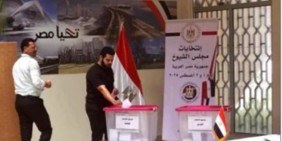 26 دولة تعلن غلق لجان تصويت المصريين بالخارج فى انتخابات مجلس الشيوخ 2025 26 دولة تعلن غلق لجان تصويت المصريين بالخارج فى انتخابات مجلس الشيوخ 2025