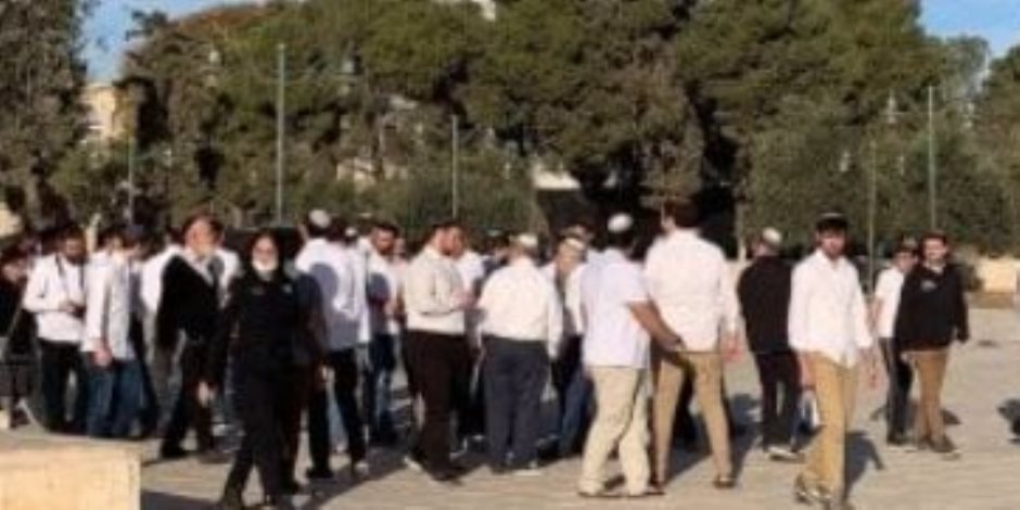 يقودهم بن غفير وعضو كنيست.. 1251 مستوطنا يقتحمون باحات المسجد الأقصى يقودهم بن غفير وعضو كنيست.. 1251 مستوطنا يقتحمون باحات المسجد الأقصى