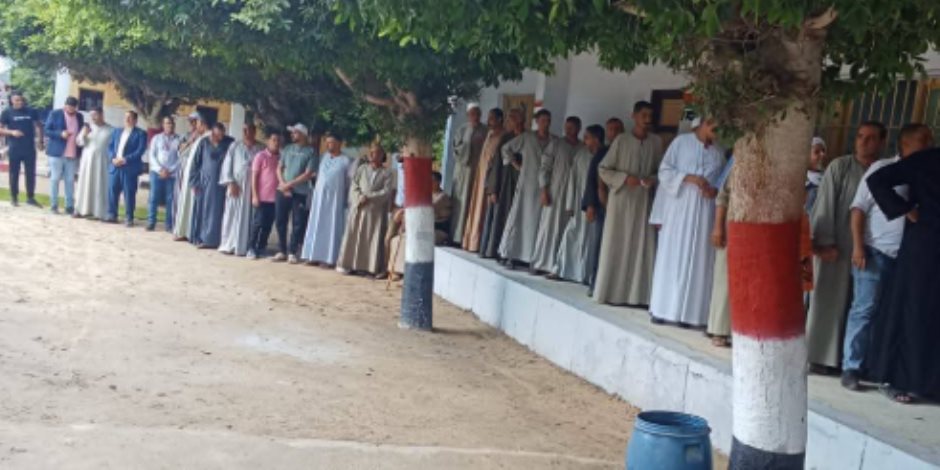 إقبال مواطنى البحيرة على التصويت فى انتخابات مجلس الشيوخ فى الفترة المسائية