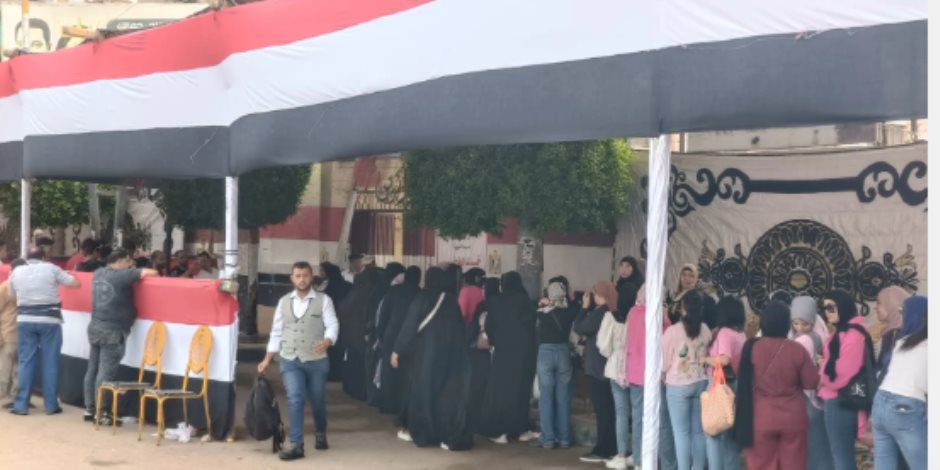 إقبال كبير من السيدات فى انتخابات الشيوخ بالدقهلية
